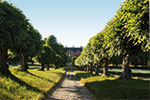 Bothmer